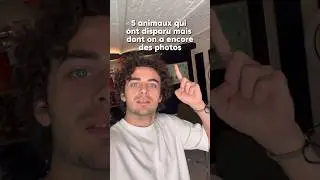 Bien trop mignon le dernier 😭 5 animaux qui ont disparu mais dont on a des photos !
