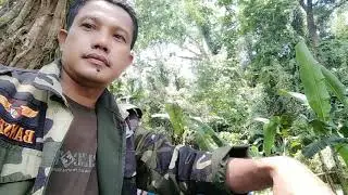 Kali maron(1)