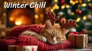 Soothing Music for Cats 🐾 Help Your Pet Relax and Overcome Separation Anxiety for Better Sleep