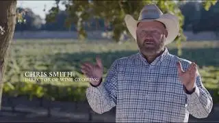 Single Vineyard Winemaking