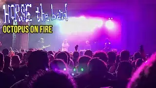 HORSE the Band - &ldquo;Octopus on Fire&rdquo; (Live at Warsaw Brooklyn, NY 6/19/2025) [4K60FPS HDR]