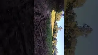 teste pr900 4.5 a 60 metros com chumbo rifle Destroyer