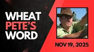 Wheat Pete's Word, Nov 19: Positivity, plot results, weird corn, and managing tight margins