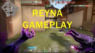 REYNA . #gameplay #edit #valorant #valorantclips #foryou #fyp #keşfet #games #funny #gaming #clutch
