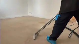 Carpet Cleaning Wool Carpet Multiple Stains 