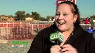 DellOsso Farm CW 44 Cable 12