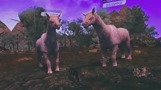 The Wolf - Paraceratherium Are Such Huge Monsters In Featured Tropical Forest 🏆