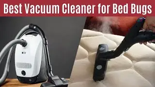 Пять лучших пылесосов для борьбы с постельными клопами и выбор лучшего из них