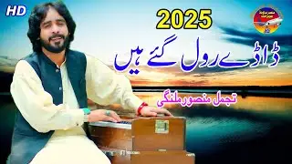 Tajammal Mansoor Malangi ڈاڈے رول | (Official Music Video) 2025 Ansar Sound