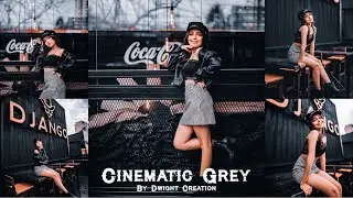 Lightroom Mobile FREE Preset | Lightroom Mobile Tutorial | Cinematic Grey