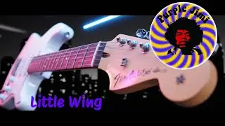 Little Wing By Purple Jimi @ Cambridge Rock Festival 2025 - Hendrix Band Covering All Of His Hits