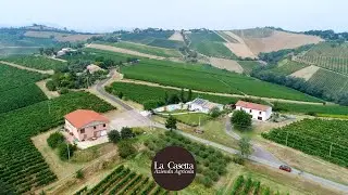 CASTEL BOLOGNESE: Azienda agricola 