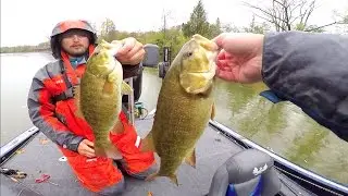 INSANE Bass Fishing With Crankbaits