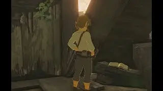The Legend of Zelda: Breath of the Wild - EX Капюшон торговца