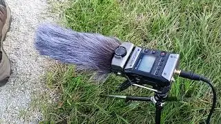 What Zoom mic capsules are good for.