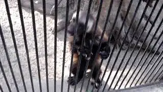 MOV00911