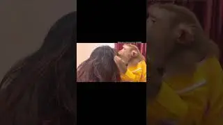 Monkey grooming ASMR #monkey