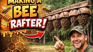 From Broken Comb to Golden Wax &ndash; Helping Bees Survive 💛🐝