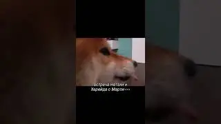 #эдисон это так мило