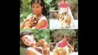 Love over rain - Yung Meiling.mp4