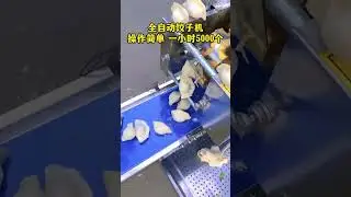 #饺子机#小型饺子机 #仿手工饺子机