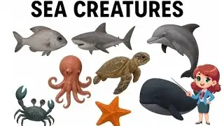 Sea Creatures for Kids | Ocean Animals Names & Colors | Learn Sea Animals 🌊🐠