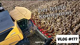 Vlog #177 Der letzte Körnermais kommt runter und Pakete Packen im Onlineversand