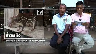 Del pueblo okaina, Isaac Siake Neikase, sabedor y Tomas Siake Gitoma,