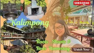 Roots , Shoots & Beds Homestay Kalimpong #highlights #nature#homestay @bibikasubba123 
