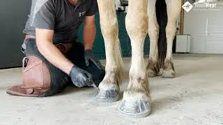 kunststof hoefijzer: EasyShoe Versa Grip Octo lijmen
