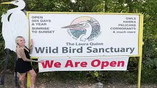 Bird Sanctuaries! Fish Pedicures! and Marsh Snakes in the Florida Keys!