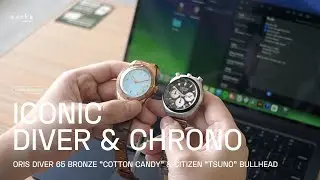 ORIS BRONZE COTTON CANDY & CITIZEN BULLHEAD REVIEW | Tanka's Thoughts