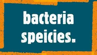 bacteria fun facts