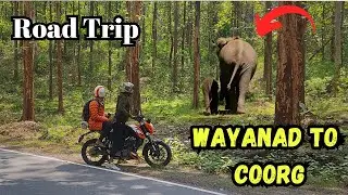 Wayanad to Coorg | Coorg Road Trip | Forest Road | Via Kutta