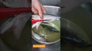 How to cut and clean mackerel fish | Fish cleaning | Bangude cleaning #shorts #youtubeshorts