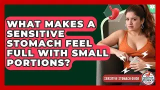 What Makes A Sensitive Stomach Feel Full With Small Portions? - Sensitive Stomach Guide