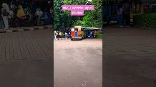 Auto und Roller fahren