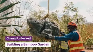 Changi Unlocked: Behind the Garden Design at Changi Airport's Bamboo Grove