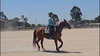 My rodeo queen horsemanship