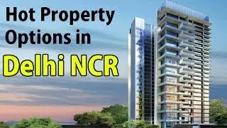 Property Investment Options in NCR Delhi - Experts View | The Property Guide