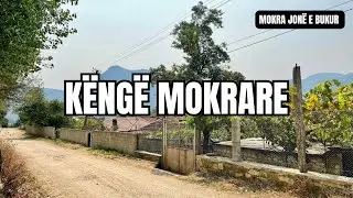 Këngë Mokrare nga Vëllezërit Ali dhe Sami Muço