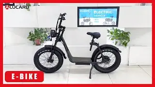 Alucard CS-P24 Electric Off-Road Bike Introduction