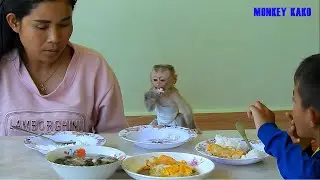 Baby Monkey, Tiny Baby Nina Joining Lunch With Mom And Brother