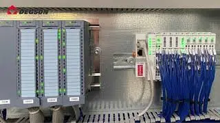 DEGSON Remote I/O Module
