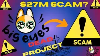 Exposed: Unraveling the BigEyes Coin Scam- How 50 Million Were Lost #bigeyes #memecoin #crypto