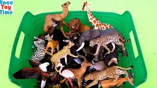 Explore The Beauty of Fun African Safari Animal Figurines &ndash; Up Close!