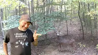 How to tell when a buck will use a scrape in Daylight
