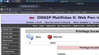 003 Broken Authentication Via Cookie