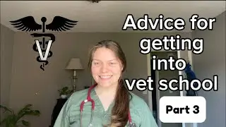 How to Get Into Vet School | Advice for Juniors & Seniors (Part 3/3)