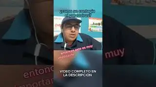 &iquest;como se contagia el parvovirus?